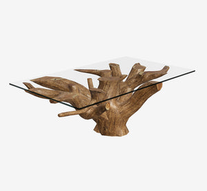 Hand-Carved Natural Teak Root Coffee Table with Square Glass Top - Unique Organic Driftwood Living Room Centerpiece