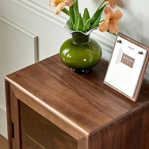 Solid Wood Corner Cabinet