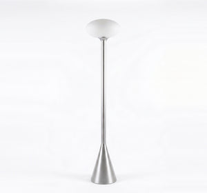 Modern Minimalist Metal Floor Lamp with Frosted Glass Dome Shade