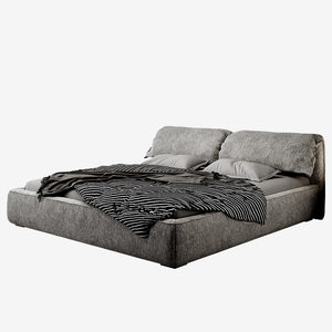 Cushioned Couch Bed