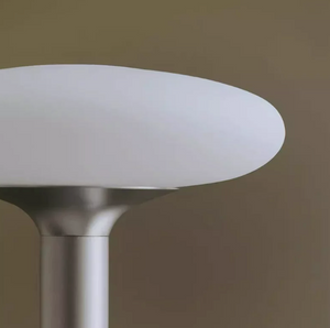 Modern Minimalist Metal Floor Lamp with Frosted Glass Dome Shade