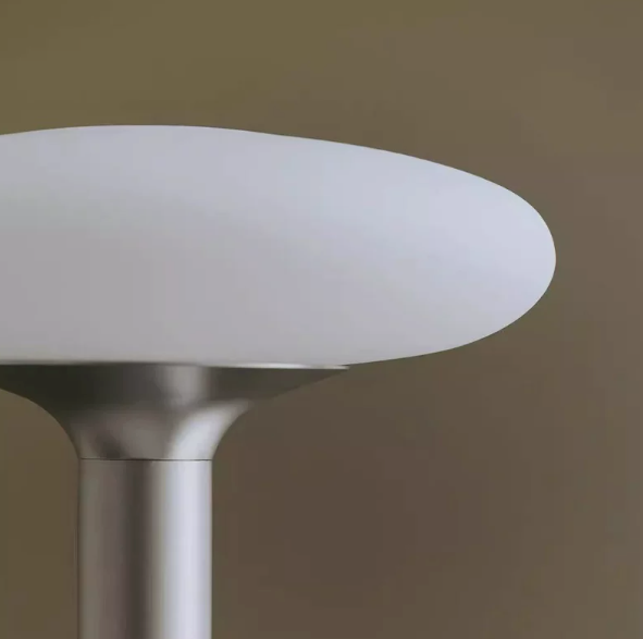 Modern Minimalist Metal Floor Lamp with Frosted Glass Dome Shade