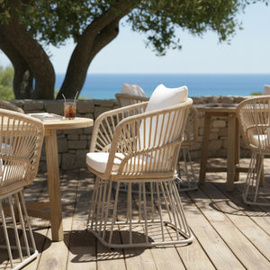 Outdoor Dining Chair MP1 - Teak Finish Wicker & Beige Steel Frame, 300LBS Weight Capacity, Includes Cushion